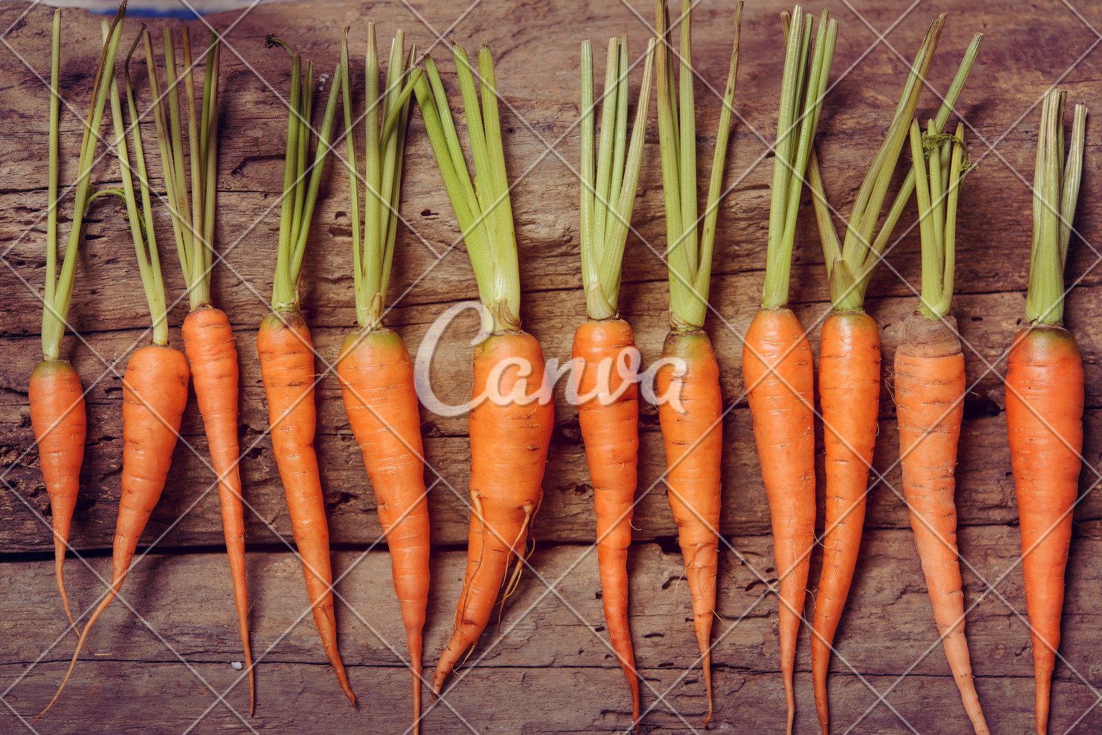 摩根大通经济学家:美联储预计于9月启动降息周期,年底前或降息三次