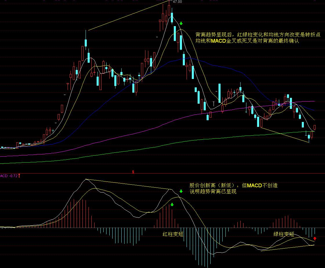 桂平市签下2000万元荔枝销售订单