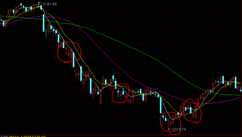 中央气象台:台风“杨柳”有可能成为今年登陆我国的最强台风