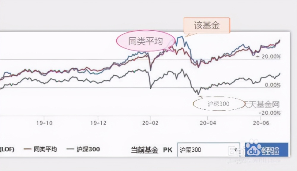 普京强调上合组织不寻求对抗任何一方