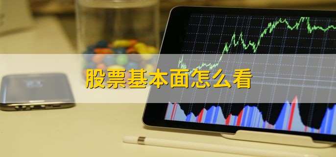 在广东绿美保护地，人与自然彼此治愈