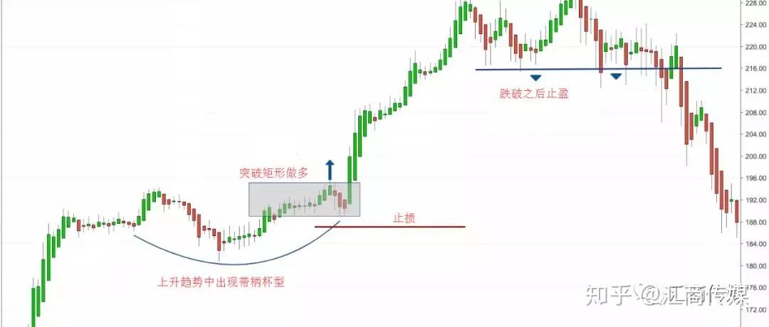 珠海“新”公园，今起焕新亮相！
