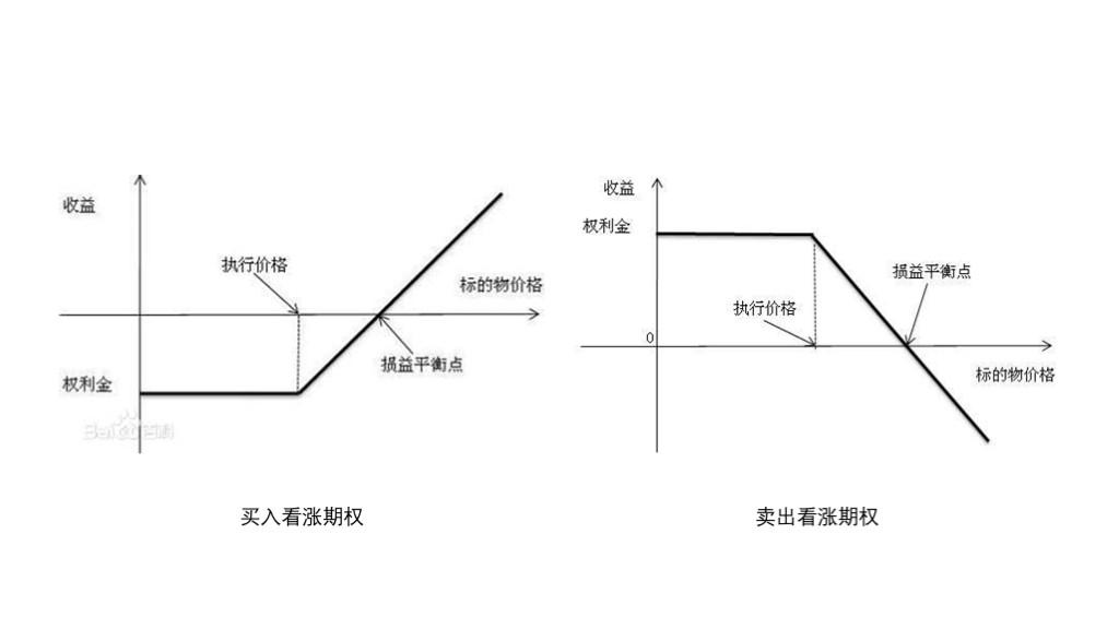 普京强调上合组织不寻求对抗任何一方